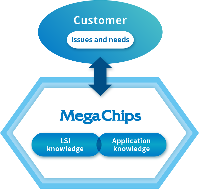 Fusing LSI and Application Knowledge